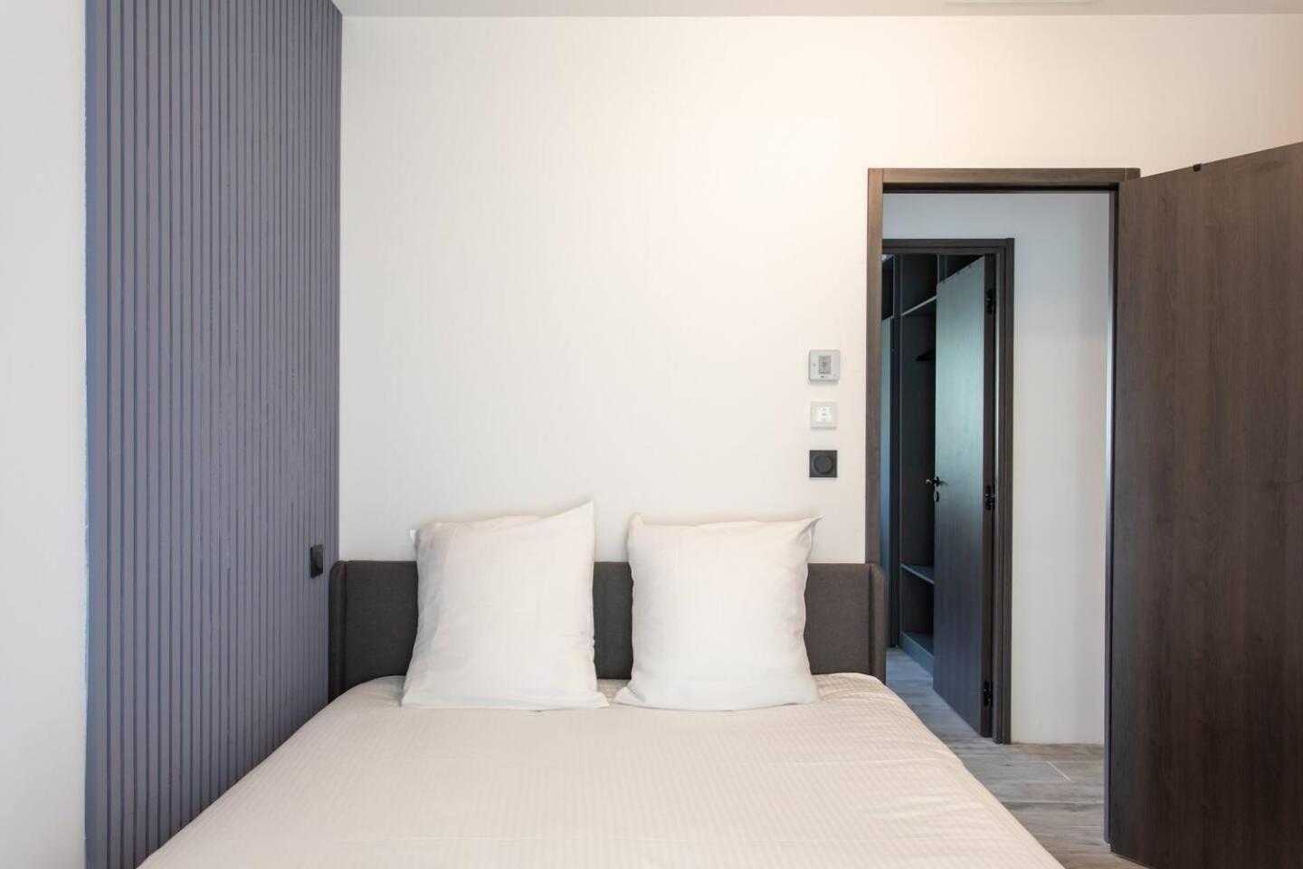 Modern Super-cannes Heated Pool, Parking, Clim, 7 Min To Cannes Villa
